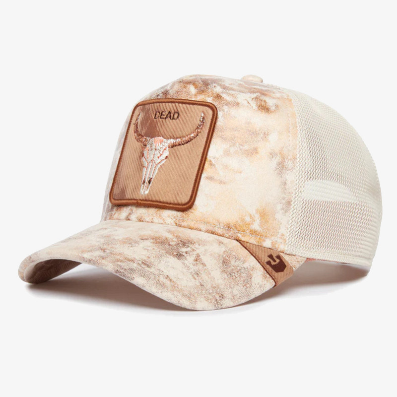 GOORIN BROS KAPE S ŠILTOM Storm Skull 
