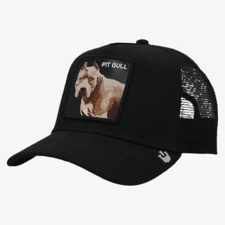 GOORIN BROS KAPE S ŠILTOM The Dog Pitbull 