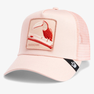 GOORIN BROS KAPE S ŠILTOM Toucan Mirage 