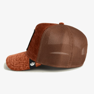 GOORIN BROS KAPE S ŠILTOM ICED RHINO 
