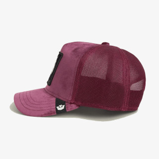 GOORIN BROS KAPE S ŠILTOM VELOUR TIGER 