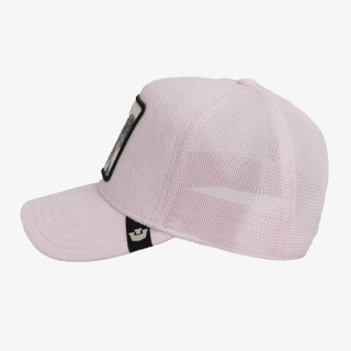 GOORIN BROS KAPE S ŠILTOM TERRY CLOTH KOALA 