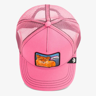 GOORIN BROS KAPE S ŠILTOM POPART - QUEEN LION 