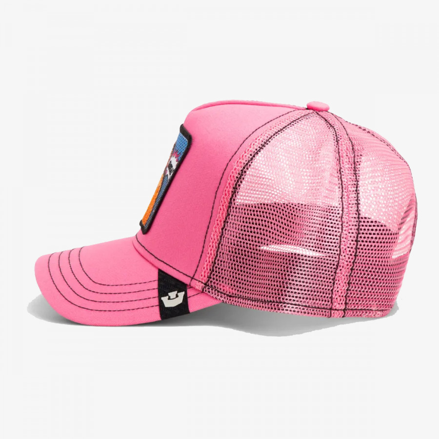 GOORIN BROS KAPE S ŠILTOM POPART - QUEEN LION 