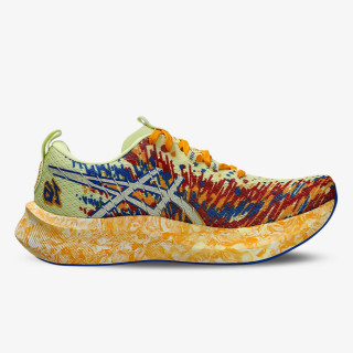 ASICS Superge Noosa TRI 16 
