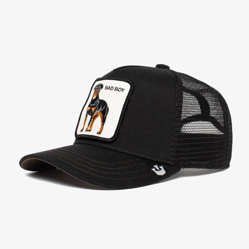 GOORIN BROS KAPE S ŠILTOM Naughty Pup 