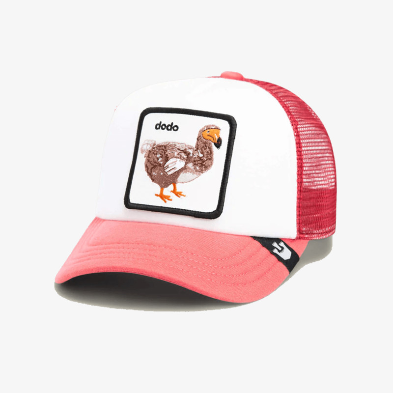 GOORIN BROS KAPE S ŠILTOM Dodo Kiddo 