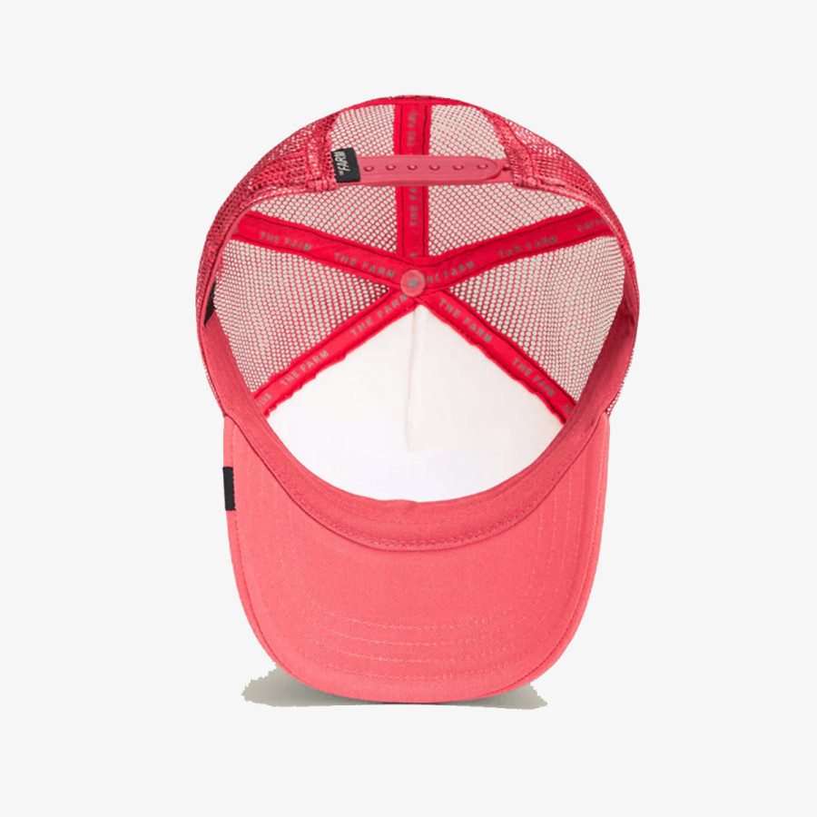 GOORIN BROS KAPE S ŠILTOM Dodo Kiddo 