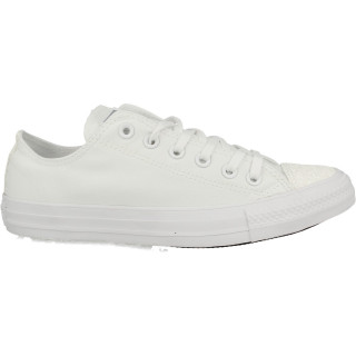 Superge 2LOW-563464C CHUCK TAYLOR ALL STAR OPT 