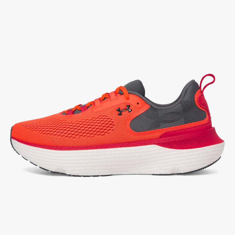 UNDER ARMOUR Superge Infinite Elite 2 