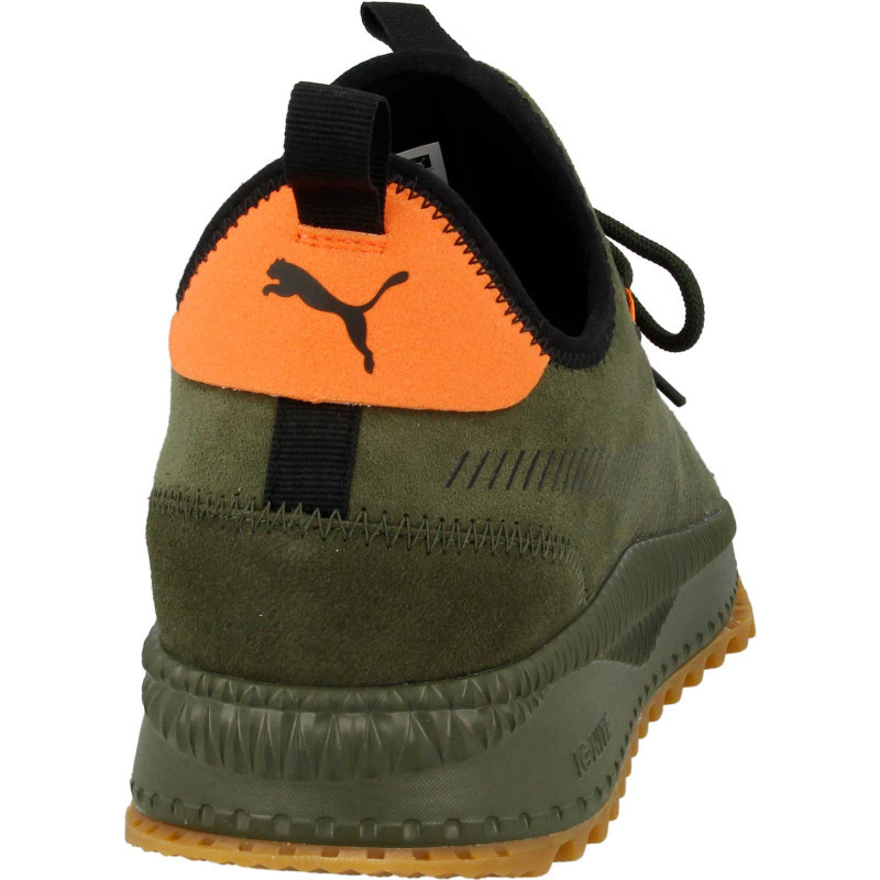Tsugi apex winterized sales