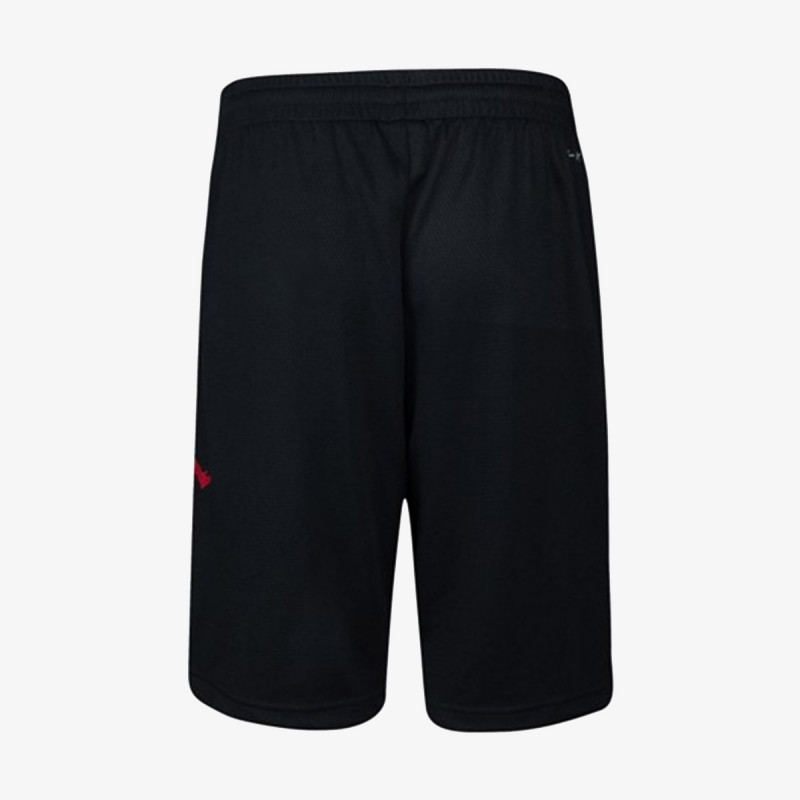 NIKE KRATKE HLAČE JORDAN VERT MESH 