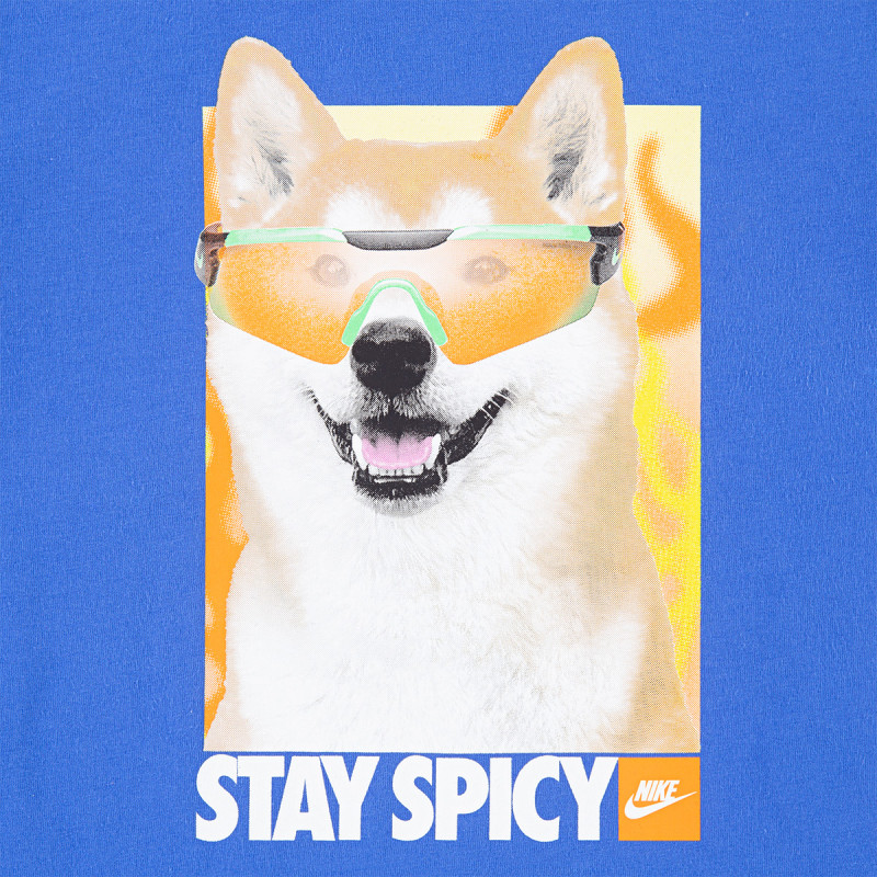 NIKE KRATKA MAJICA Stay Spicy 