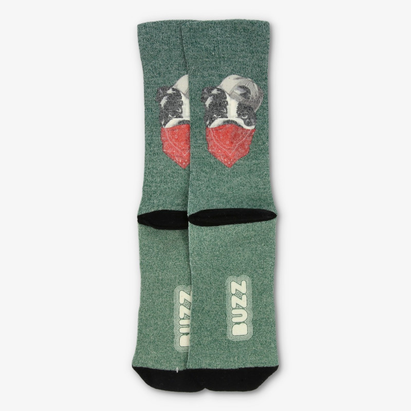 BUZZ BULLDOG SOCKS 