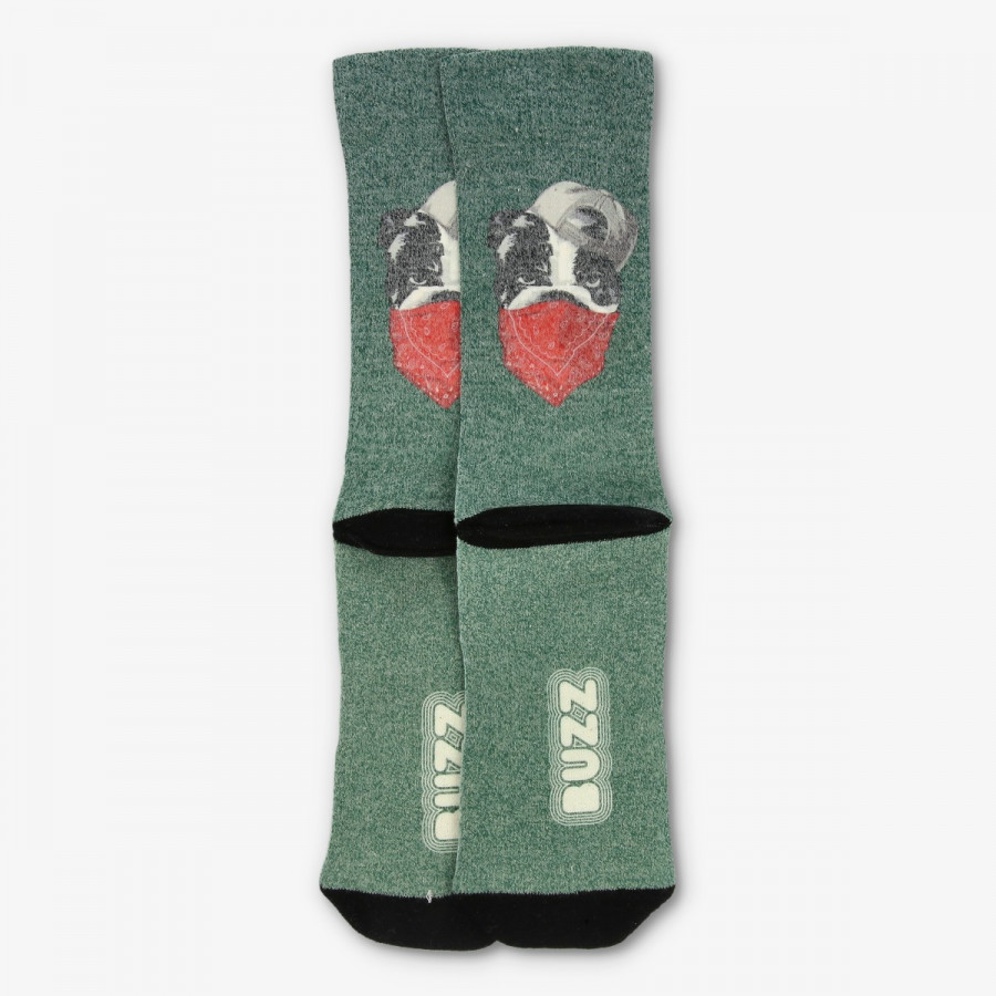 BUZZ BULLDOG SOCKS 