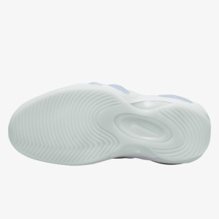 NIKE Superge AIR ZOOM FLIGHT 95 NAS 