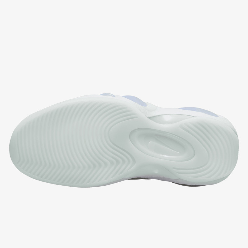 NIKE Superge AIR ZOOM FLIGHT 95 NAS 