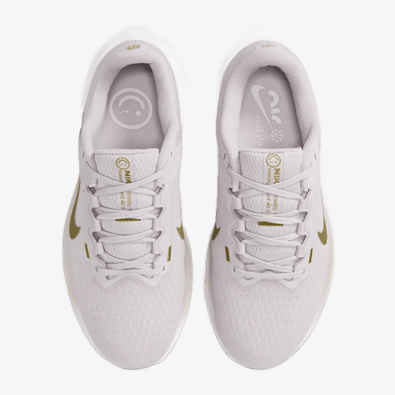NIKE Superge Winflo 10 