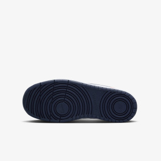 NIKE Superge COURT BOROUGH LOW RECRAFT BG 