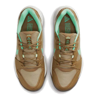 NIKE Superge ACG Lowcate 