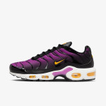 NIKE Superge Air Max Plus 