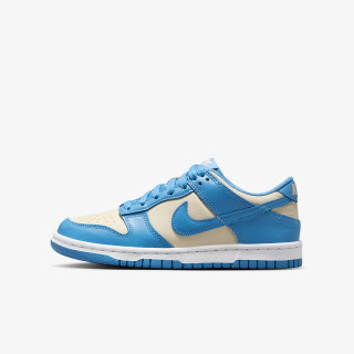NIKE Superge Dunk Low 