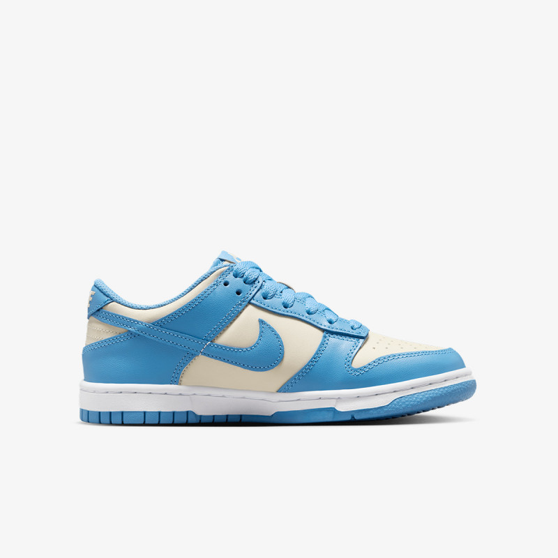 NIKE Superge Dunk Low 