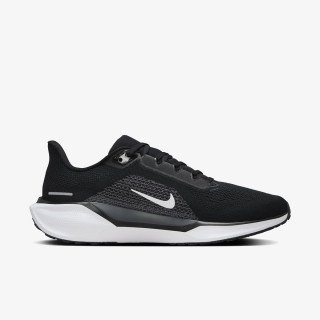 NIKE Superge Air Zoom Pegasus 41 