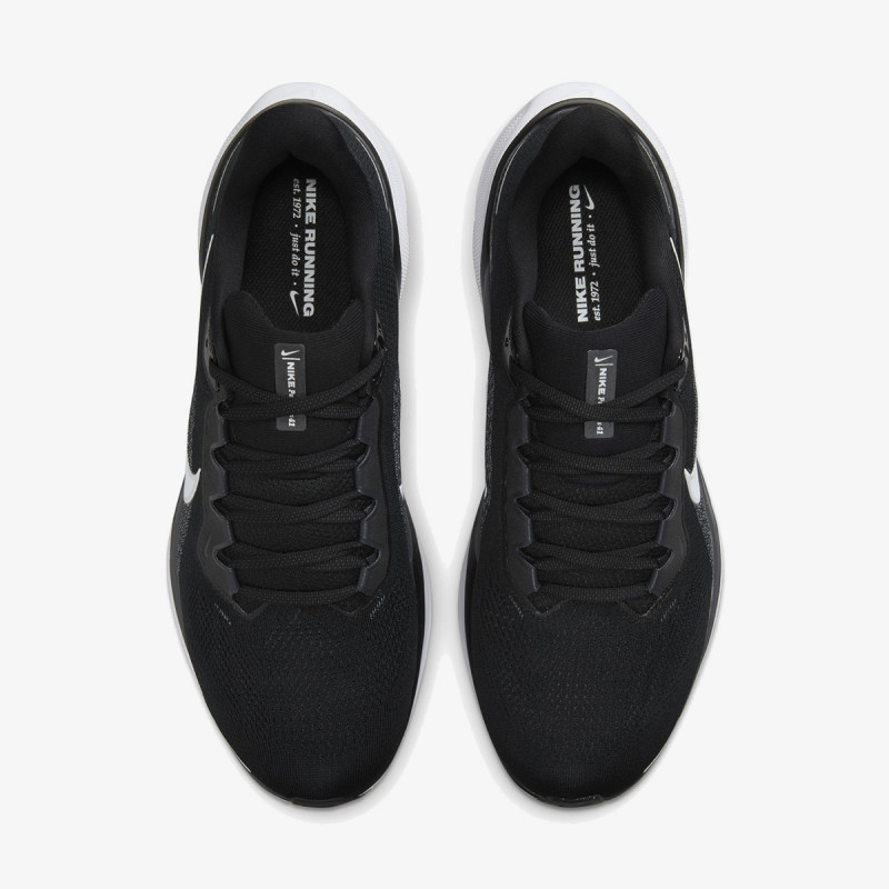 NIKE Superge Air Zoom Pegasus 41 