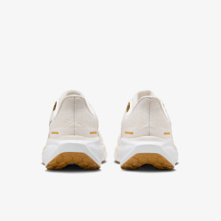 NIKE Superge Air Zoom Pegasus 41 