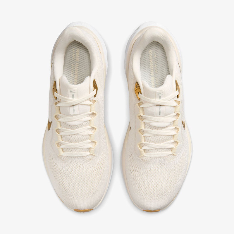 NIKE Superge Air Zoom Pegasus 41 