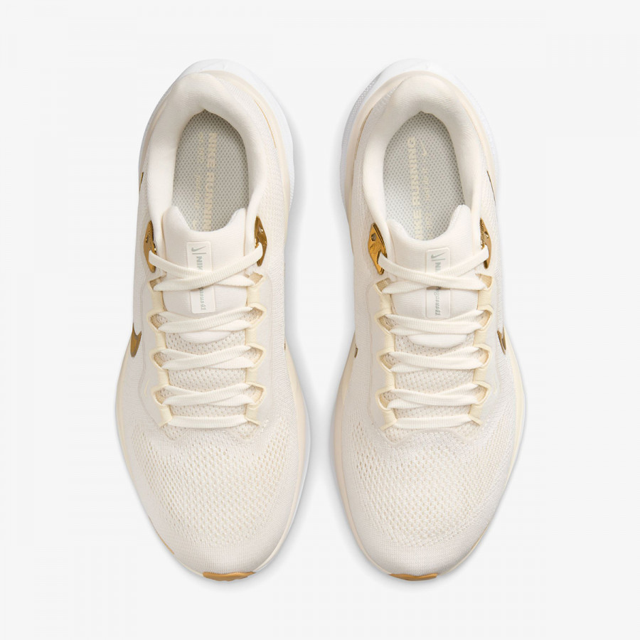 NIKE Superge Air Zoom Pegasus 41 