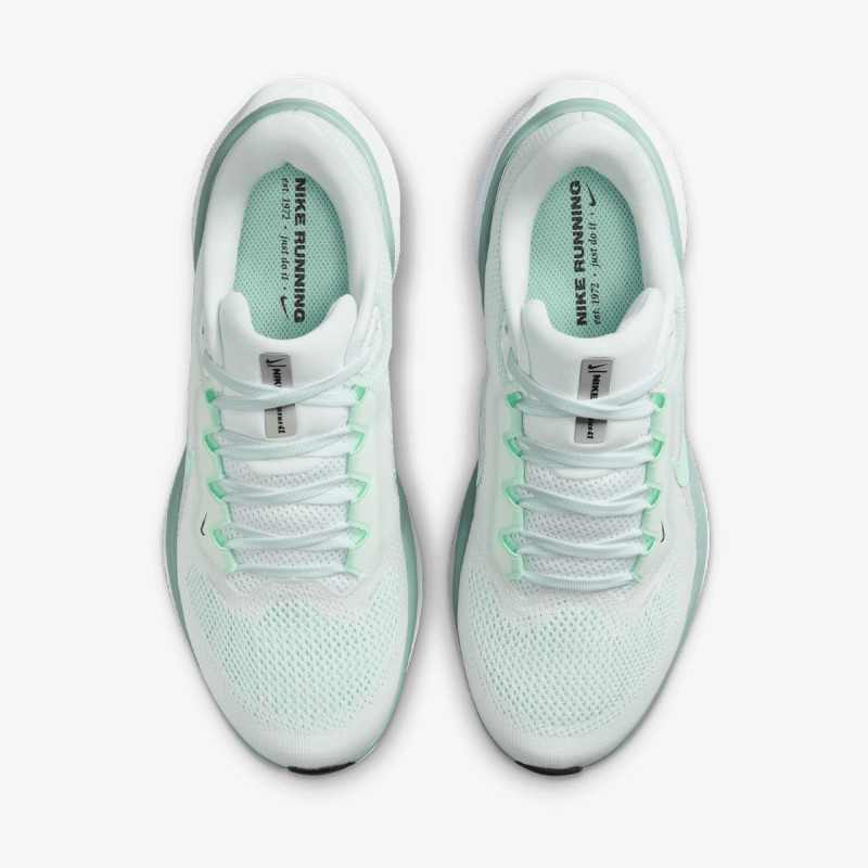 NIKE Superge W AIR ZOOM PEGASUS 41 
