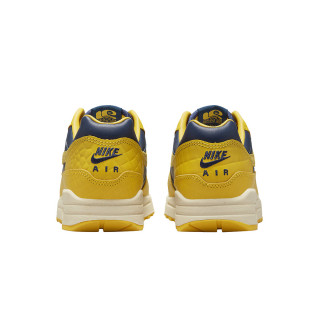 NIKE Superge W AIR MAX 1 PRM H2H 
