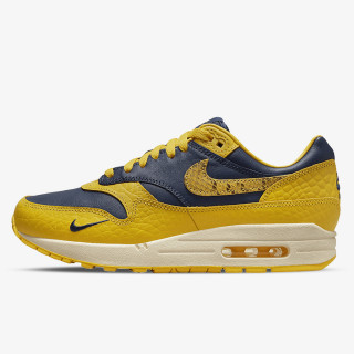 NIKE Superge W AIR MAX 1 PRM H2H 