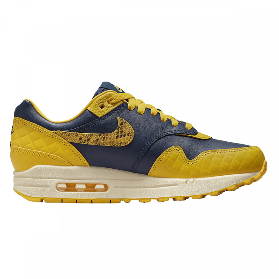 NIKE Superge W AIR MAX 1 PRM H2H 