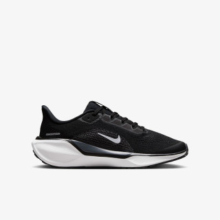 NIKE Superge Pegasus 41 