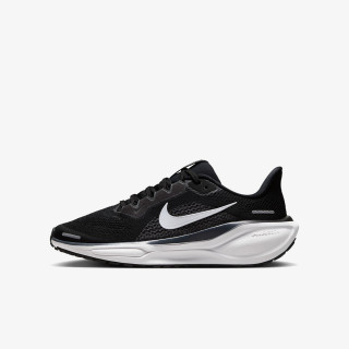 NIKE Superge Pegasus 41 
