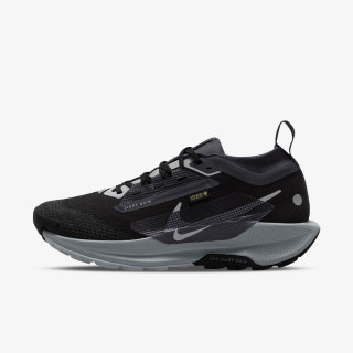 NIKE Superge Pegasus Trail 5 Gtx 