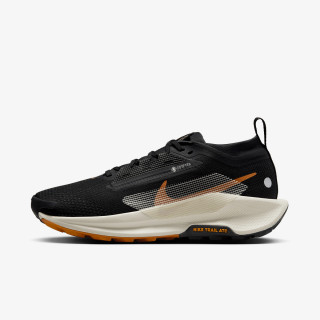 NIKE Superge W REACTX PEGASUS TRAIL 5 GTX 