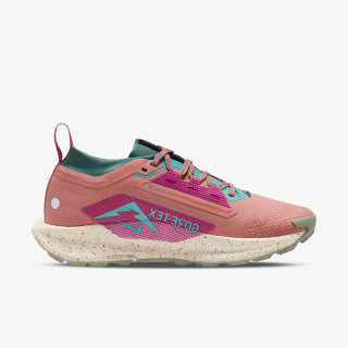 NIKE Superge Pegasus Trail 5 Gtx 