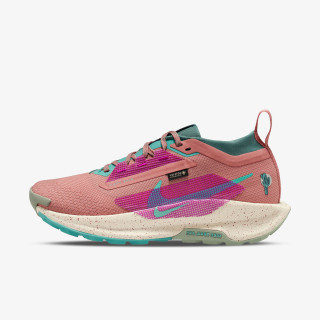 NIKE Superge Pegasus Trail 5 Gtx 