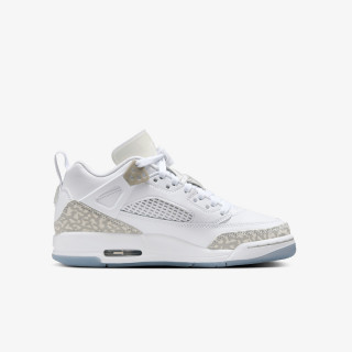 NIKE Superge Jordan Spizike Low 