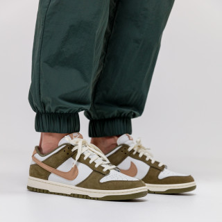 NIKE Superge Dunk Low Retro Premium 