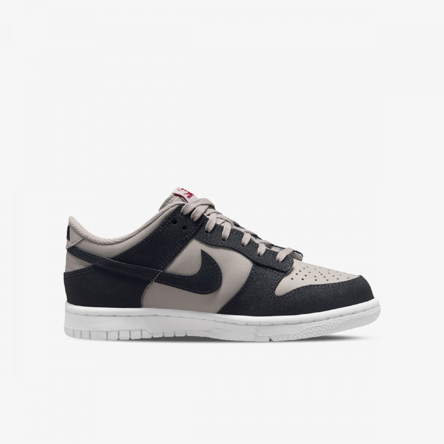 NIKE Superge NIKE DUNK LOW HF BG 