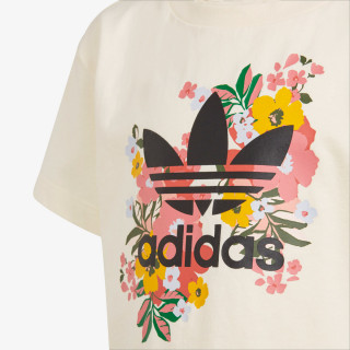 adidas KRATKE HLAČE IN MAJICA SHORT TEE SET 
