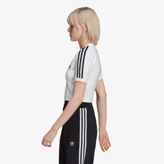 adidas KRATKA MAJICA CROPPED TEE 