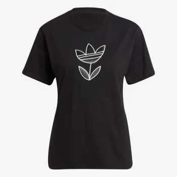 ADIDAS Majice kratke GRAPHIC TEE 