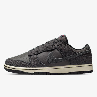 NIKE Superge Dunk Low Retro 