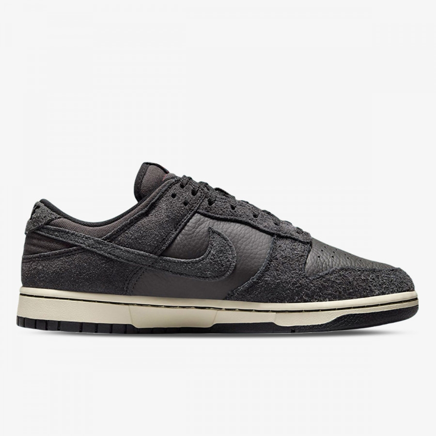 NIKE Superge Dunk Low Retro 